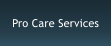 Pro Care Services